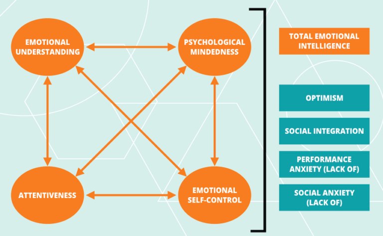 WIN Program Validation (2017)